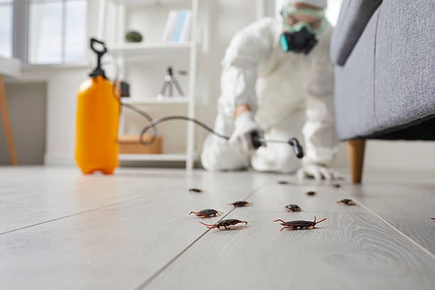 Affordable Cockroach Control solutions in Tioga Terrace, NY